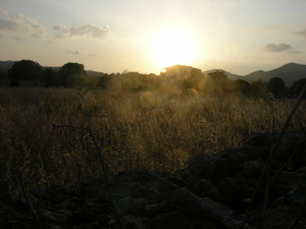 קלאס דה מיורקה Finca Son Josep De Baix מראה חיצוני תמונה